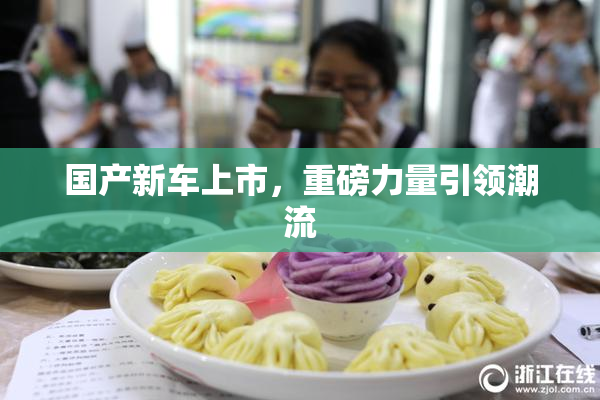 国产新车上市，重磅力量引领潮流