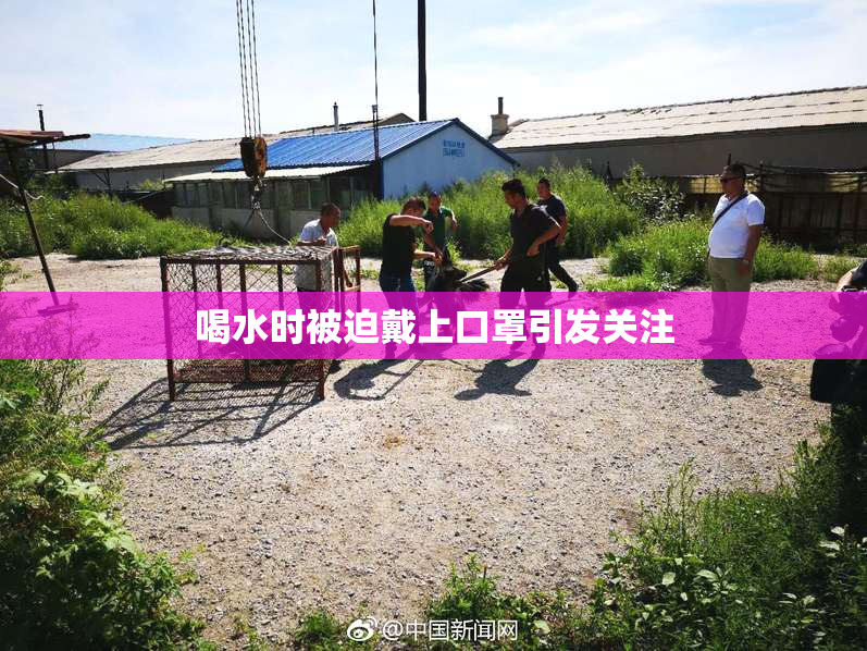喝水时被迫戴上口罩引发关注