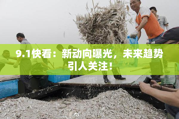 9.1快看：新动向曝光，未来趋势引人关注！