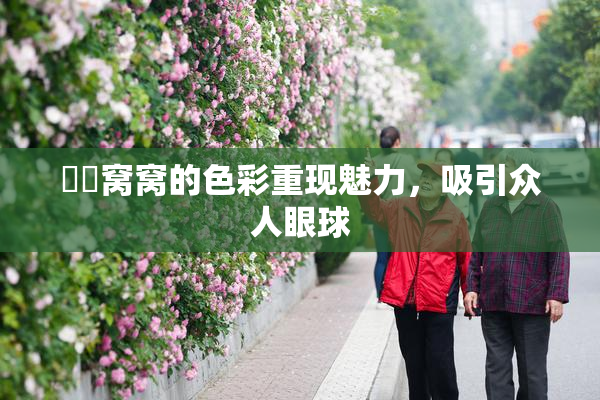 妺妺窝窝的色彩重现魅力，吸引众人眼球