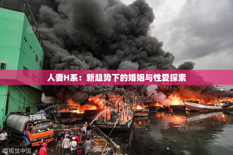 人妻H系：新趋势下的婚姻与性爱探索