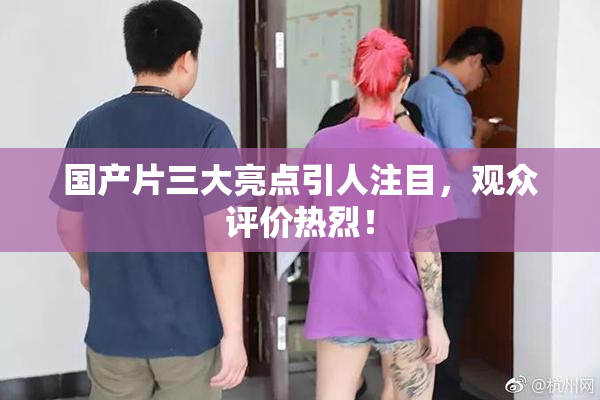 国产片三大亮点引人注目，观众评价热烈！