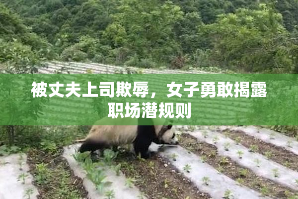 被丈夫上司欺辱，女子勇敢揭露职场潜规则