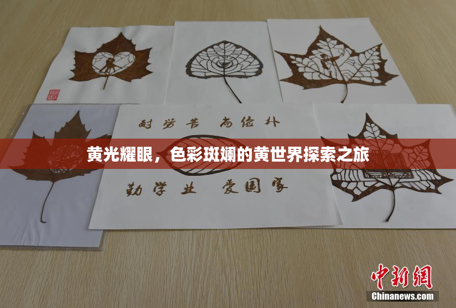黄光耀眼，色彩斑斓的黄世界探索之旅