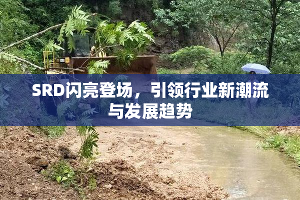 SRD闪亮登场，引领行业新潮流与发展趋势