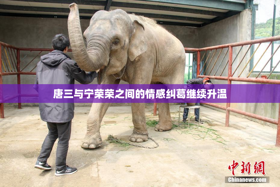 唐三与宁荣荣之间的情感纠葛继续升温