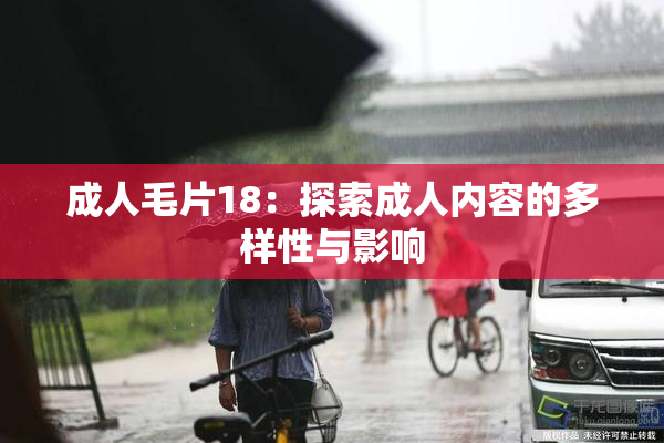 成人毛片18：探索成人内容的多样性与影响
