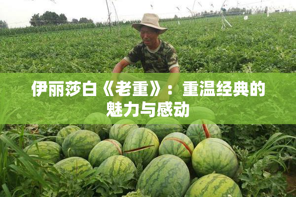 伊丽莎白《老重》：重温经典的魅力与感动