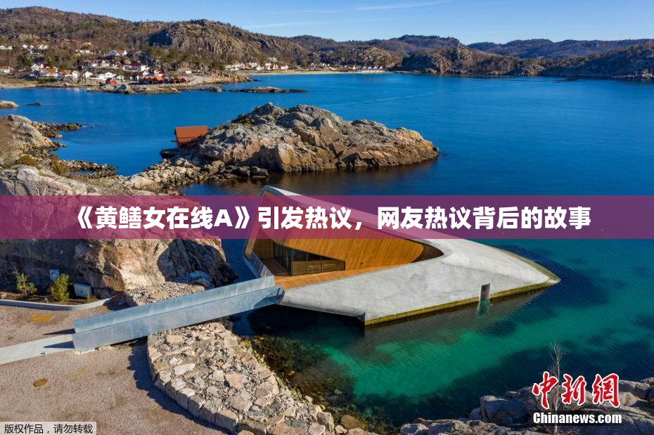 《黄鳝女在线A》引发热议，网友热议背后的故事