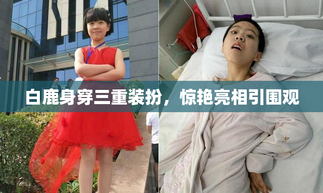 白鹿身穿三重装扮，惊艳亮相引围观