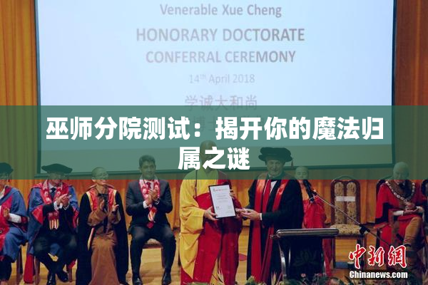 巫师分院测试：揭开你的魔法归属之谜