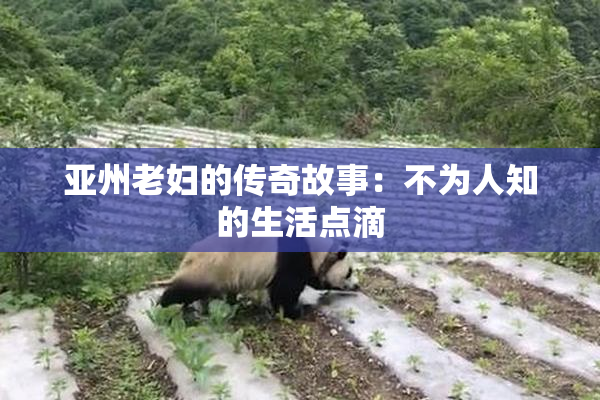 亚州老妇的传奇故事：不为人知的生活点滴