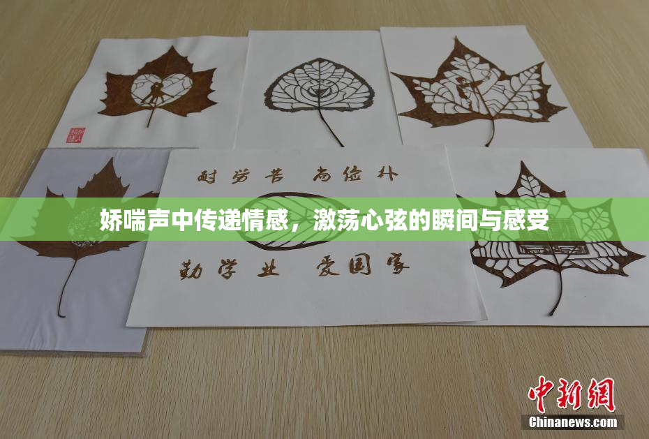 娇喘声中传递情感，激荡心弦的瞬间与感受