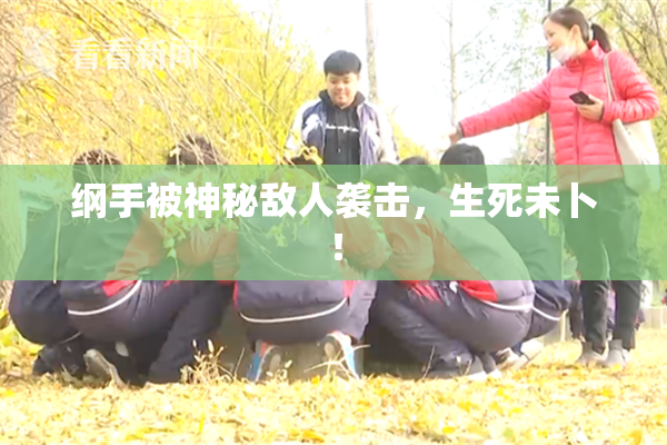 纲手被神秘敌人袭击，生死未卜！