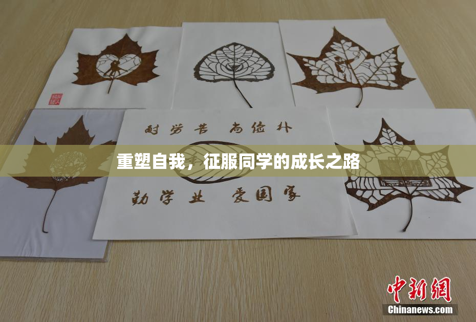 重塑自我，征服同学的成长之路