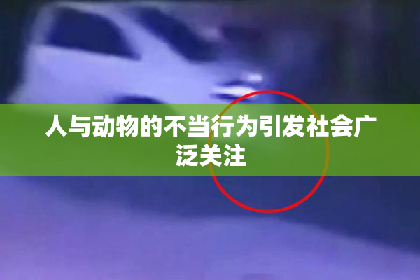 人与动物的不当行为引发社会广泛关注