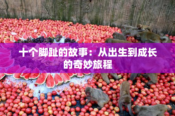 十个脚趾的故事：从出生到成长的奇妙旅程