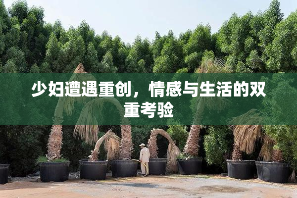 少妇遭遇重创，情感与生活的双重考验