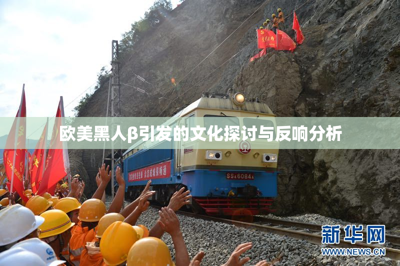欧美黑人β引发的文化探讨与反响分析