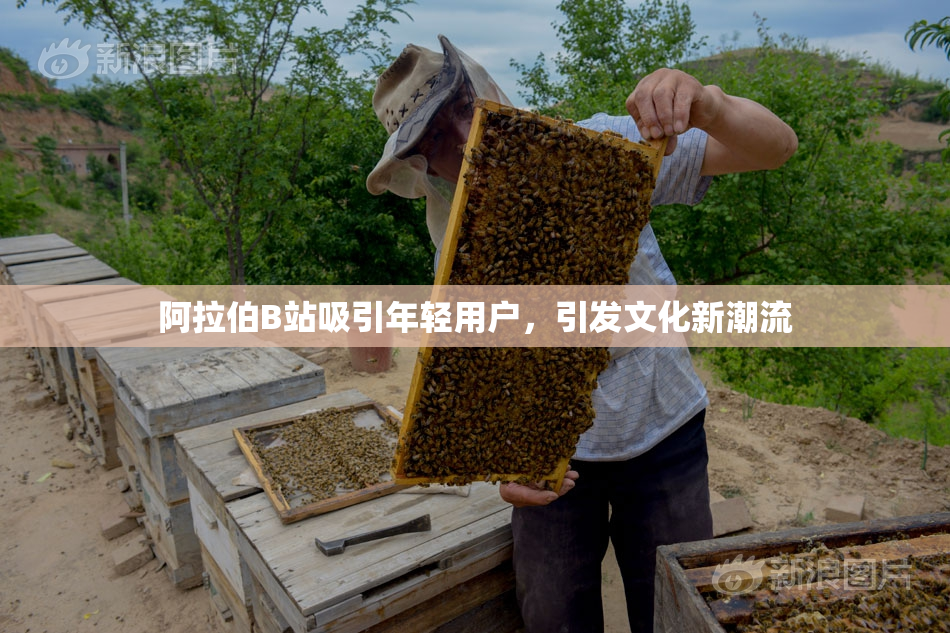 阿拉伯B站吸引年轻用户，引发文化新潮流