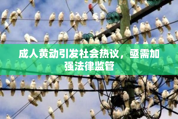 成人黄动引发社会热议，亟需加强法律监管