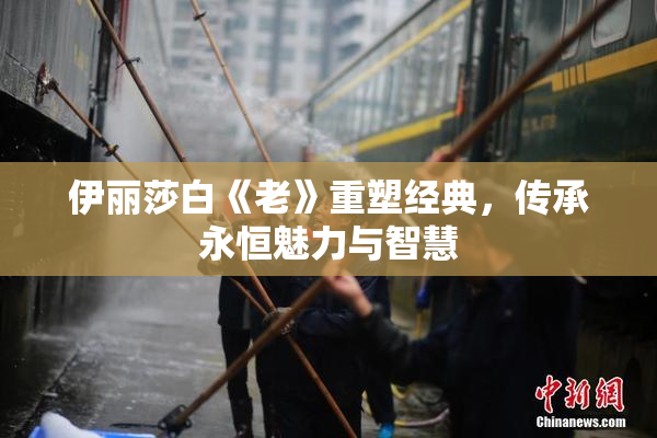 伊丽莎白《老》重塑经典，传承永恒魅力与智慧