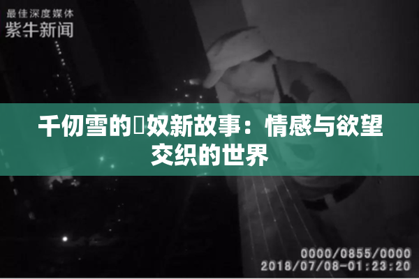 千仞雪的婬奴新故事：情感与欲望交织的世界