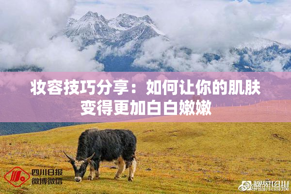 妆容技巧分享：如何让你的肌肤变得更加白白嫩嫩