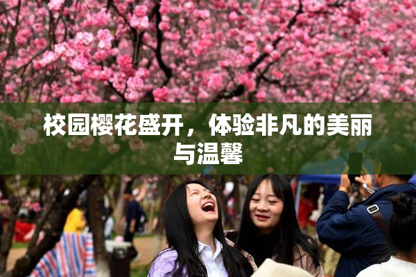 校园樱花盛开，体验非凡的美丽与温馨