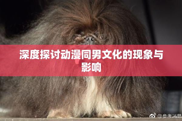 深度探讨动漫同男文化的现象与影响