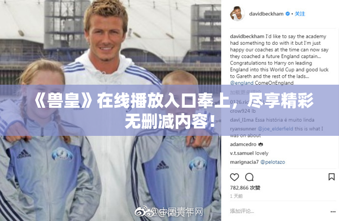 《兽皇》在线播放入口奉上，尽享精彩无删减内容！