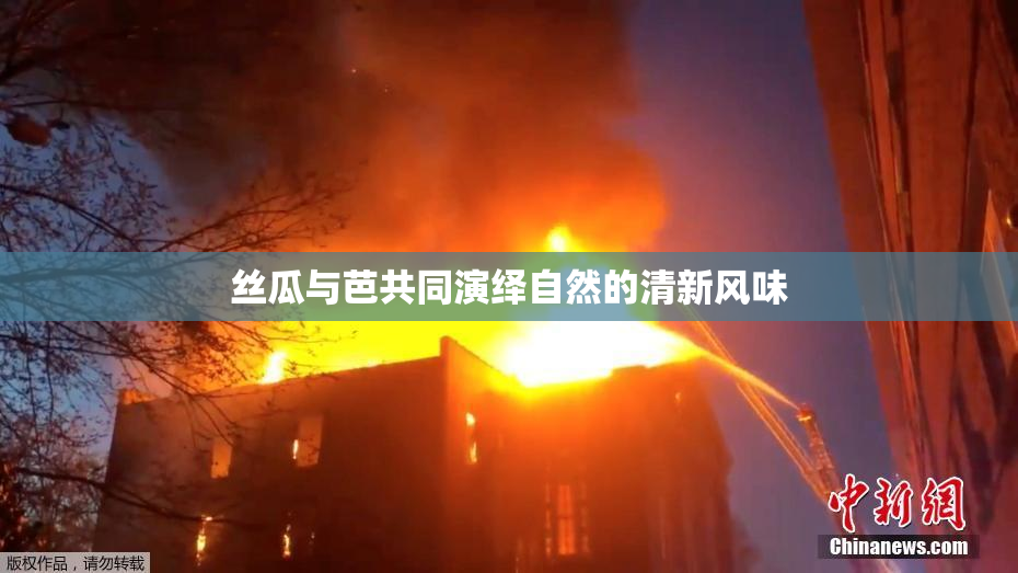 丝瓜与芭共同演绎自然的清新风味