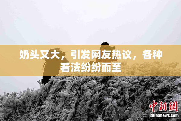 奶头又大，引发网友热议，各种看法纷纷而至