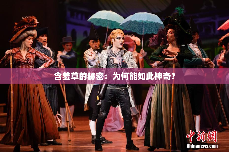 含羞草的秘密：为何能如此神奇？