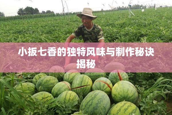 小扳七香的独特风味与制作秘诀揭秘