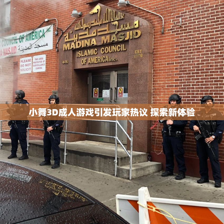 小舞3D成人游戏引发玩家热议 探索新体验