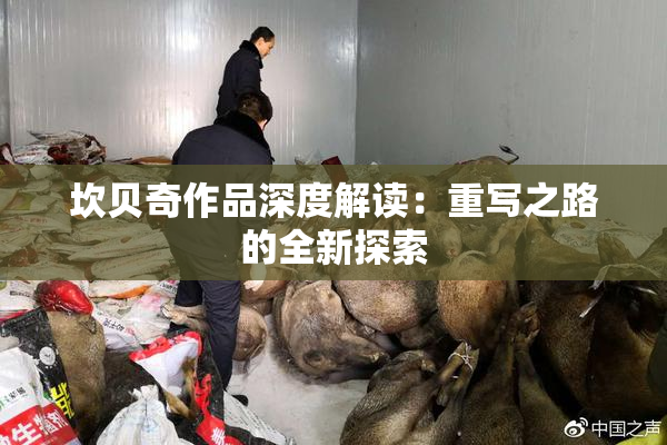 坎贝奇作品深度解读：重写之路的全新探索