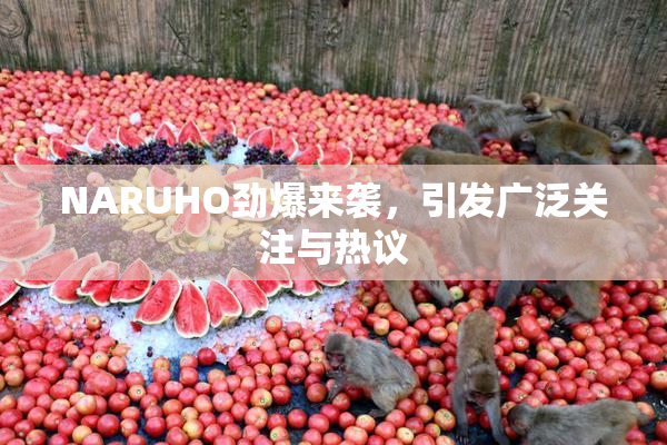 NARUHO劲爆来袭，引发广泛关注与热议
