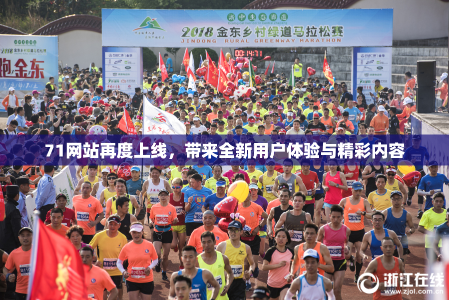 71网站再度上线，带来全新用户体验与精彩内容