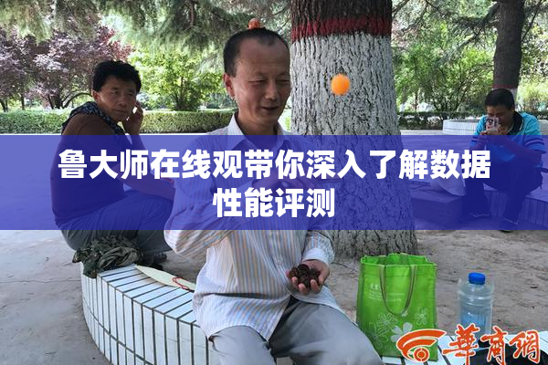 鲁大师在线观带你深入了解数据性能评测