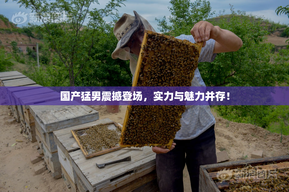 国产猛男震撼登场，实力与魅力并存！
