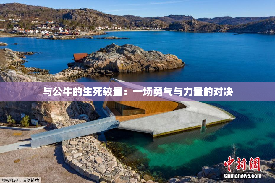 与公牛的生死较量：一场勇气与力量的对决