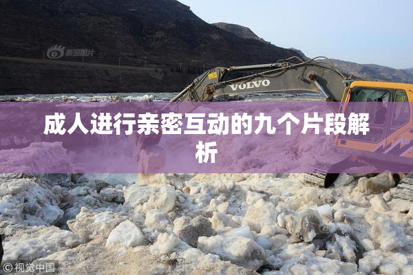成人进行亲密互动的九个片段解析