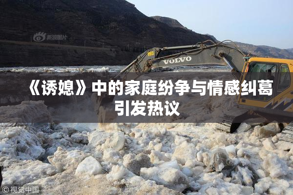 《诱媳》中的家庭纷争与情感纠葛引发热议