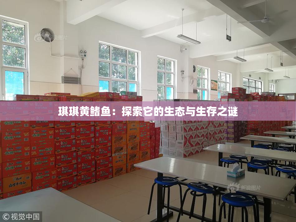 琪琪黄鳍鱼：探索它的生态与生存之谜