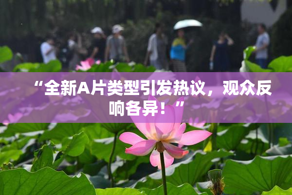 “全新A片类型引发热议，观众反响各异！”