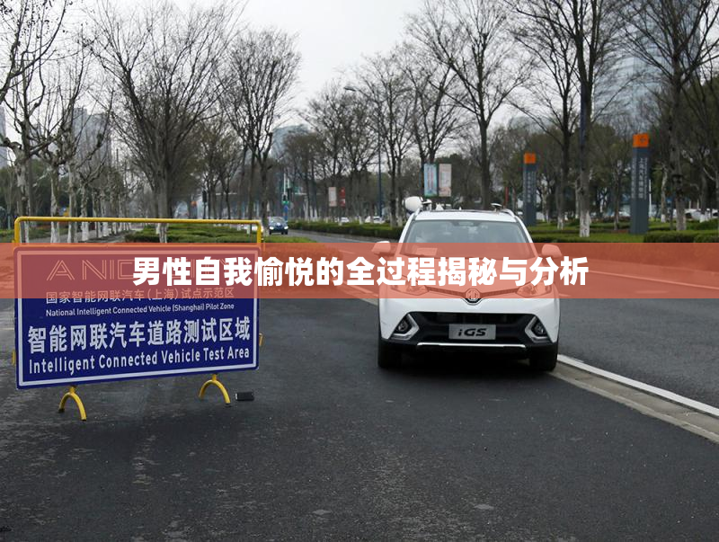 男性自我愉悦的全过程揭秘与分析