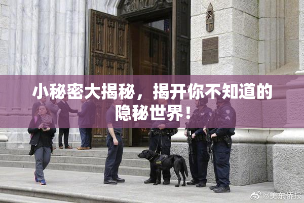 小秘密大揭秘，揭开你不知道的隐秘世界！