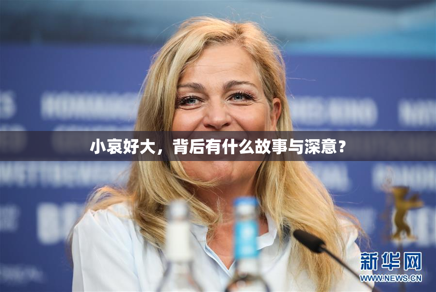 小哀好大，背后有什么故事与深意？