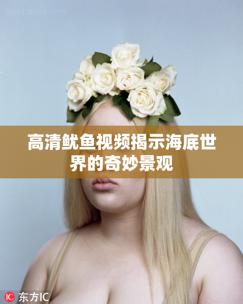 高清鱿鱼视频揭示海底世界的奇妙景观
